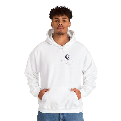 Dreamy Unisex Hooded Sweatshirt - Cozy Spring Vibes