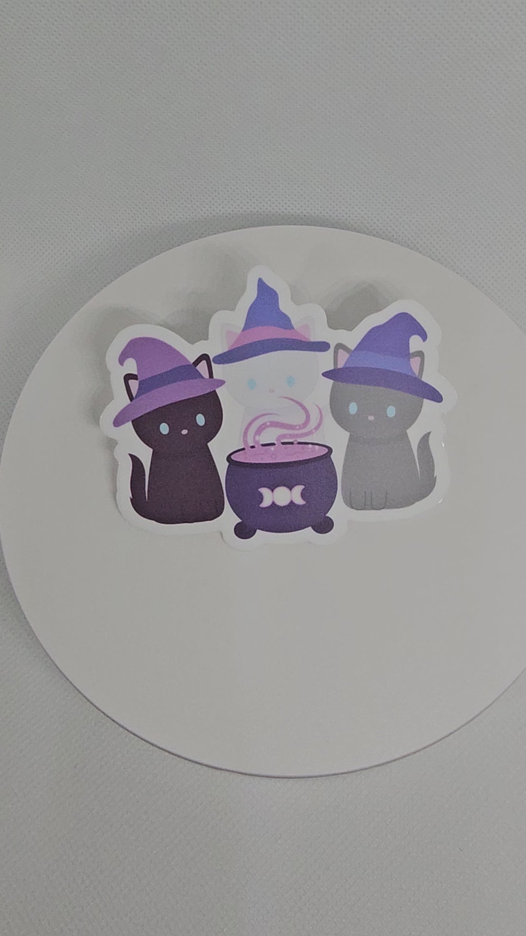 Three witchy cats